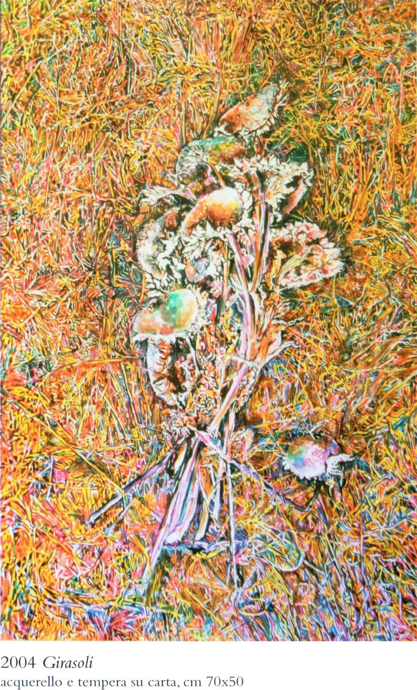 colori-di-tempo 2017 (18)