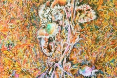 colori-di-tempo 2017 (18)