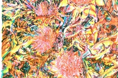 colori-di-tempo 2017 (19)