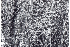 GRANDI-LABIRINTI-001