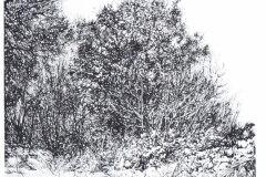 GRANDI-LABIRINTI-003