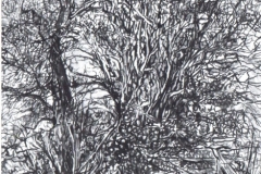 GRANDI-LABIRINTI-012