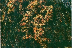 GRANDI-LABIRINTI-033