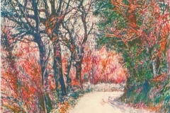 GRANDI-LABIRINTI-034