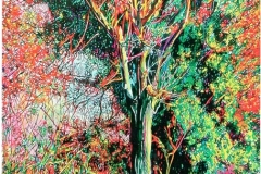 GRANDI-LABIRINTI-038