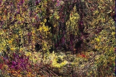 nell'ombra